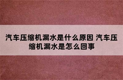 汽车压缩机漏水是什么原因 汽车压缩机漏水是怎么回事